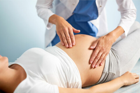 OBSTETRİ